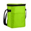 Picture of 12 Pack Lunch Cooler Bag