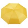 Picture of 42" Auto Open Folding Umbrella