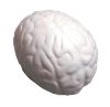 Picture of Brain Ball Stress Reliever