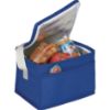 Picture of Budget Non-Woven 6 Can Lunch Cooler Bag