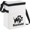 Picture of Spectrum Budget 12-Can Lunch Cooler Bag