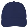 Navy Blue Blue Econo Cap