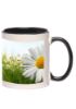 11 oz. Bright Two-Tone Sublimation Promotional Custom Mugs - Black