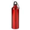 25 Oz. Aluminum Alpine Bottle