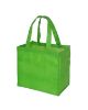 Econo Enviro-Shopper