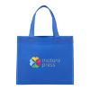 Mini Non-Woven Heat Sealed Tote
